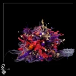 دسته گل فرمالیته 10