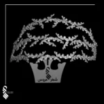 ریسه عربی کد 289