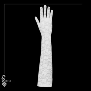 دستکش دانتل کد 10