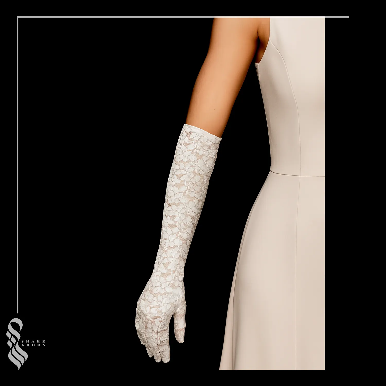 دستکش دانتل کد 10 4 دستکش دانتل کد 10