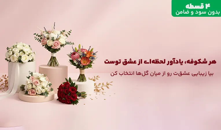 شهر عروس